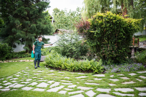 Best Mosquito Control Services  in Biggs, CA