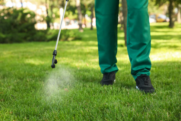 Best Local Pest Control Services  in Biggs, CA