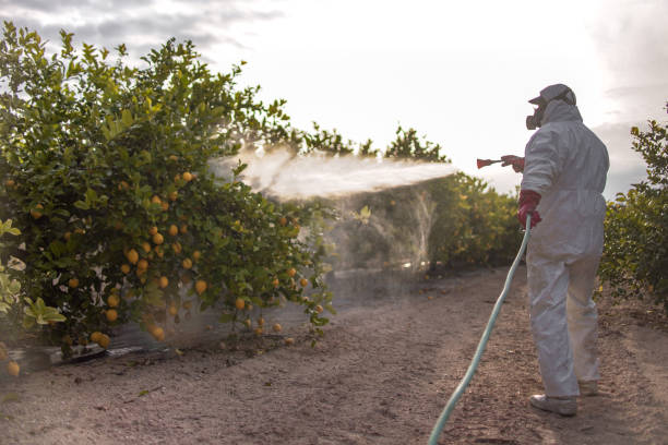Pest Control Cost in Biggs, CA