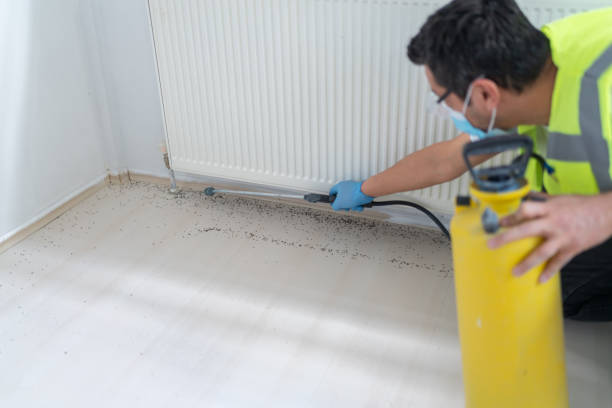 Best Affordable Pest Control Services  in Biggs, CA
