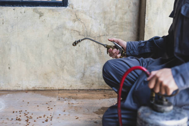 Best Flea Control Services  in Biggs, CA